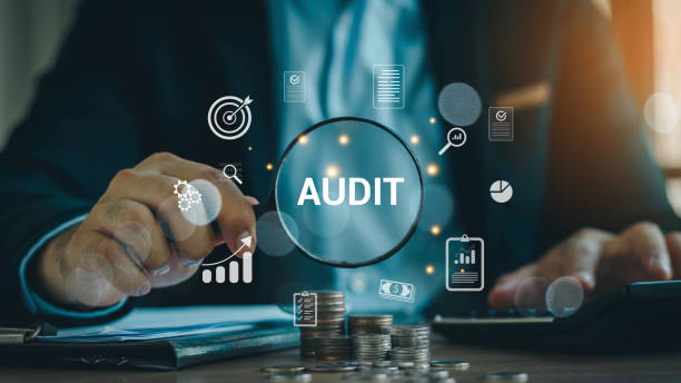 Auditing & Compliance Support