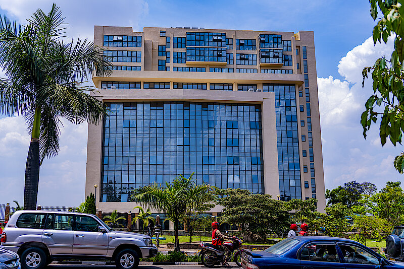 Sector-Specific Licenses