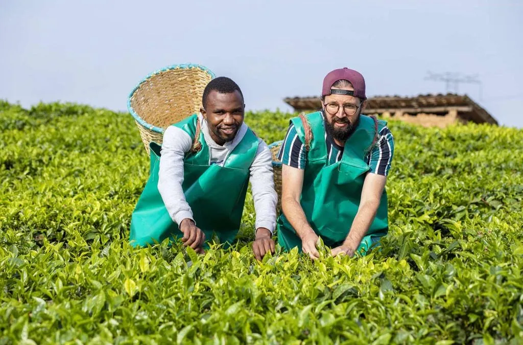 Rwanda's Coffee and Tea Plantations